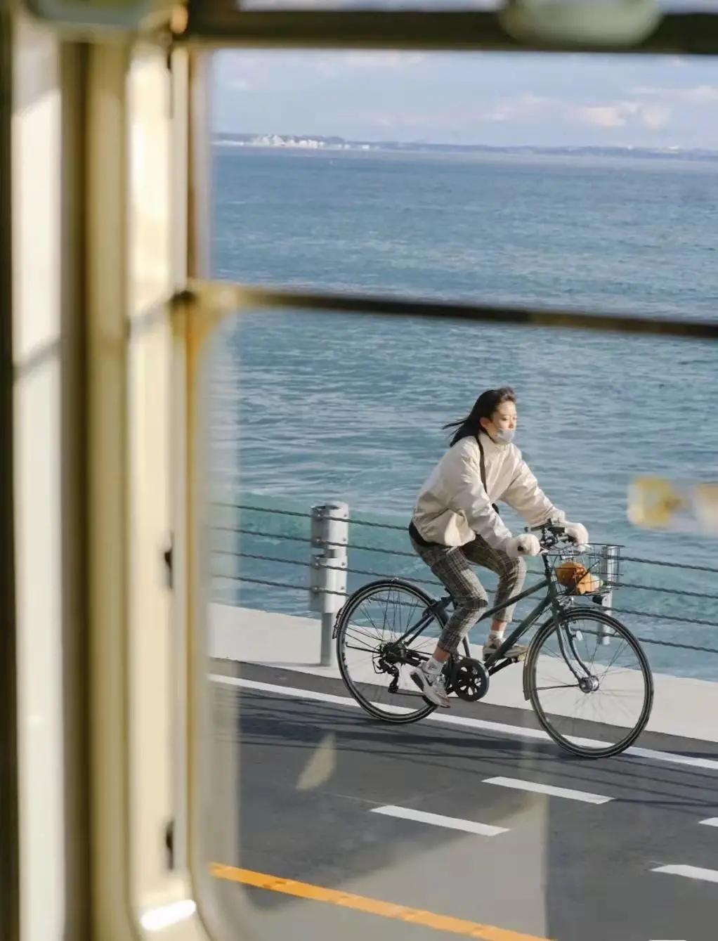 害怕小鸟受凉，有人悄悄为它们织了22年的毛衣