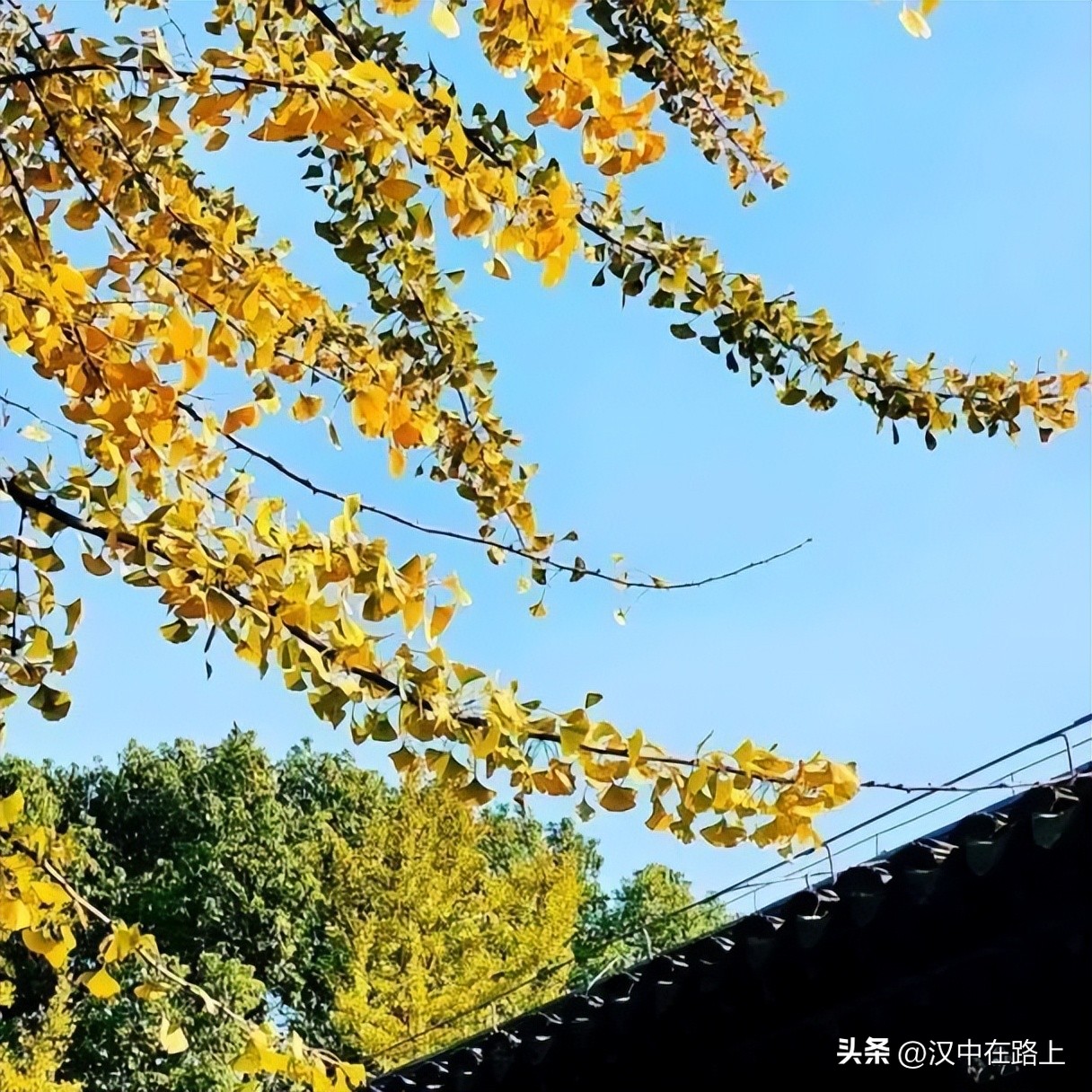 深秋古镇,寒露秋季风景