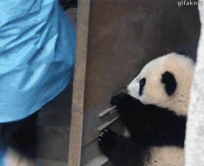 买机票用什么软件最好最便宜,特价机票在哪个时间买最便宜