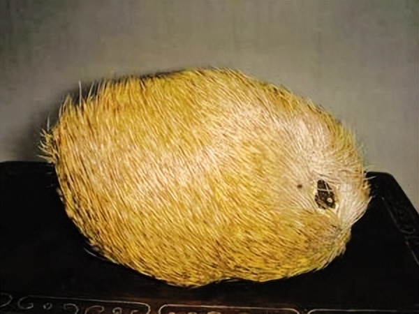 哪些国家产麝香,世界有几个麝香的主产国