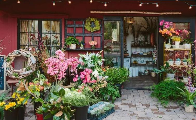 加盟花店排行榜前十名免费加盟,花店加盟最好的品牌是