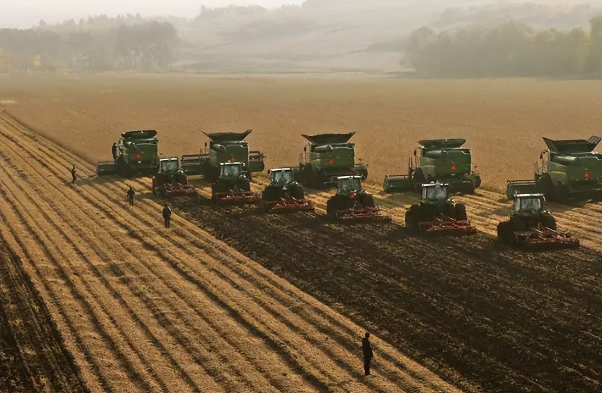 北大荒为什么退林还耕,北大荒垦荒什么时候开始的