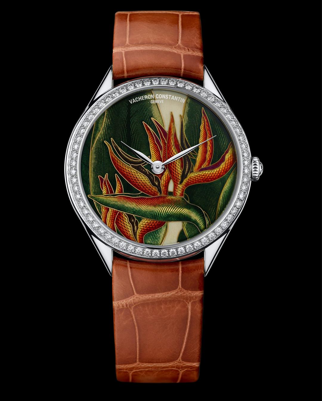 张园入春，纵横四海┃读者活动招募