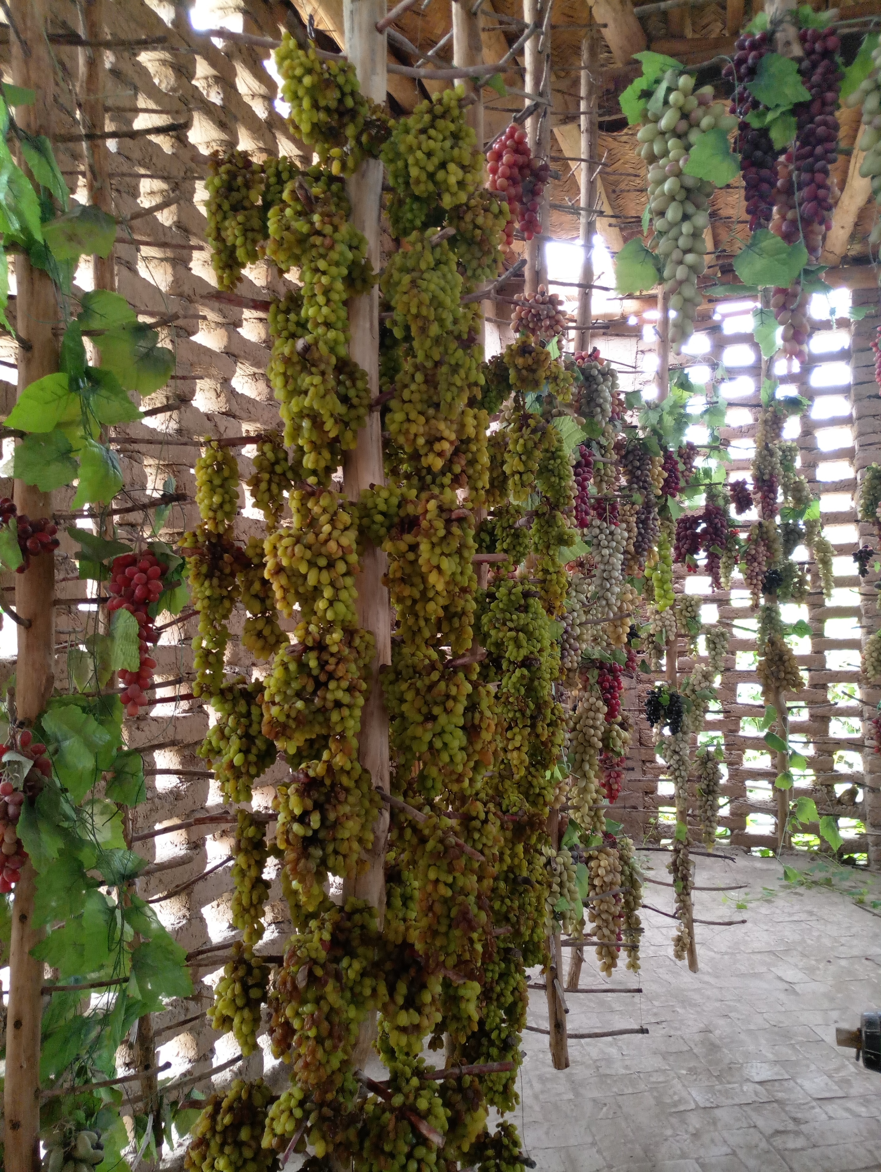 *疆新**干果里的王者，忍着牙疼也要炫半斤