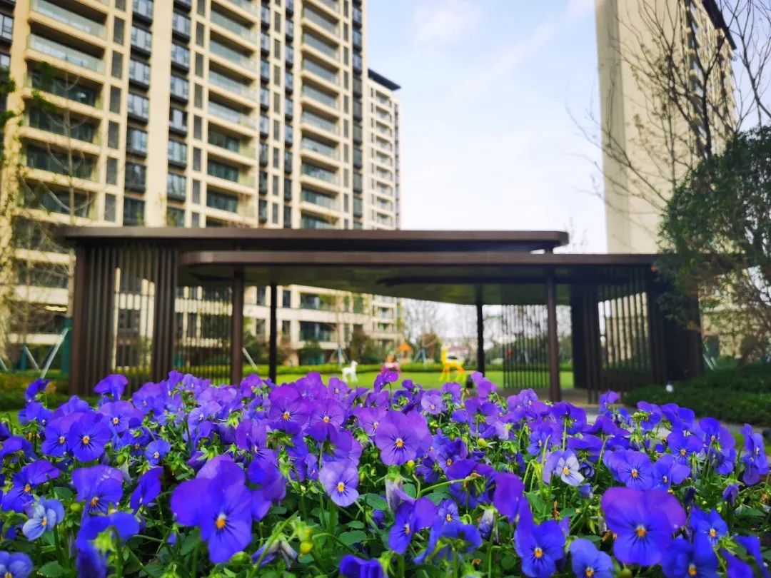 路劲物业,常州路劲物业电话是多少