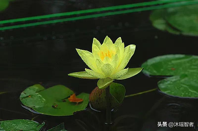 阿里健康目前估值,阿里影业股票估值