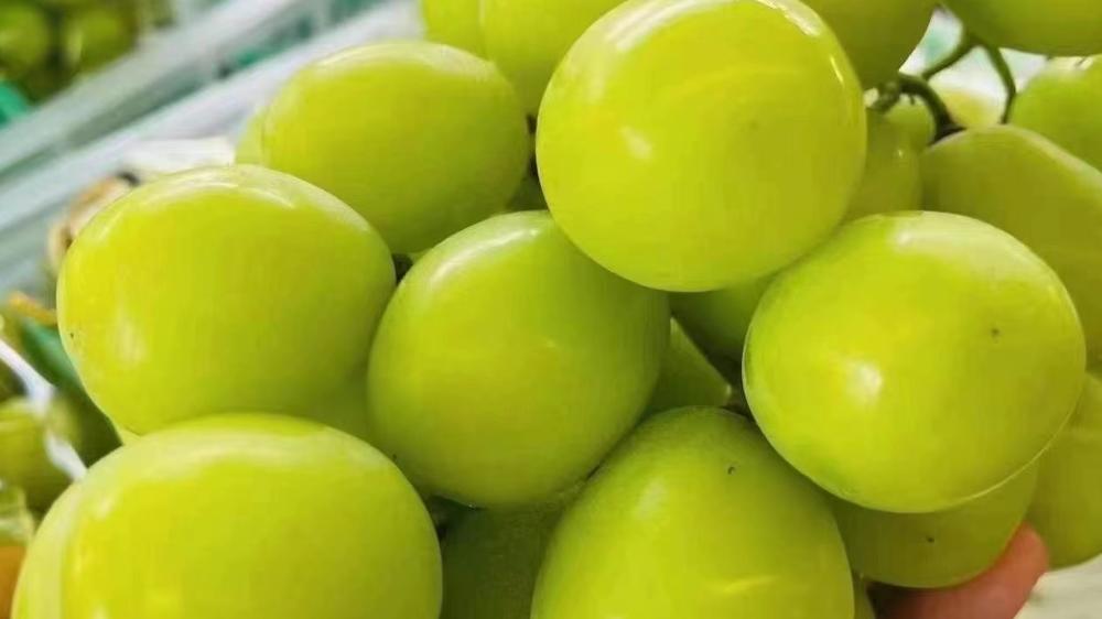 想开个水果店怎么办营业执照,想开家水果店要办什么手续