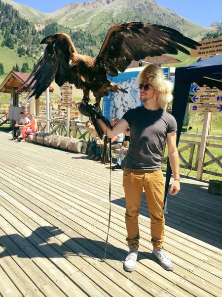 80个神奇的真实照片，不高兴的狗子，崎岖的铁路，倒立劈叉拉筋