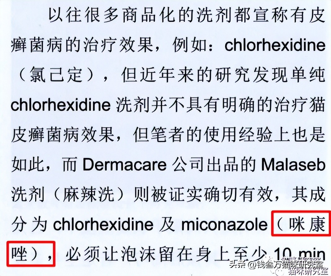 伊曲康唑为什么买不到了,伊曲康唑买不到怎么办