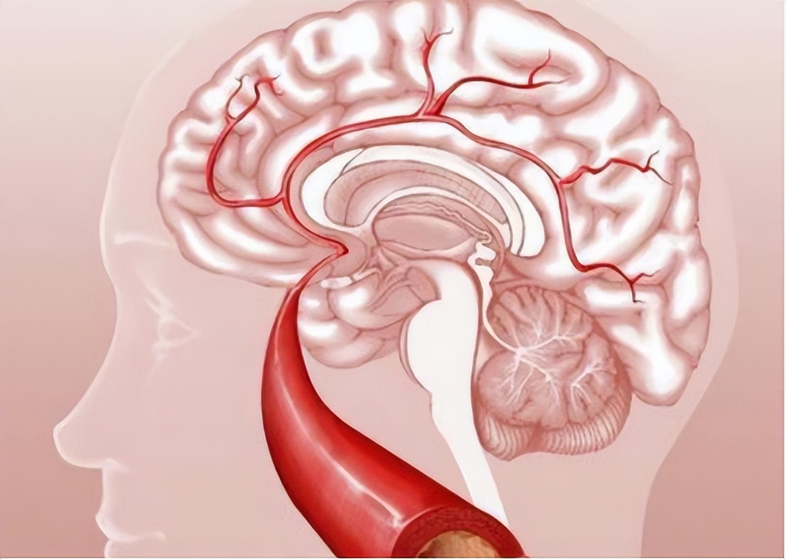 镉超标会引起哪种疾病,镉偏低的危害