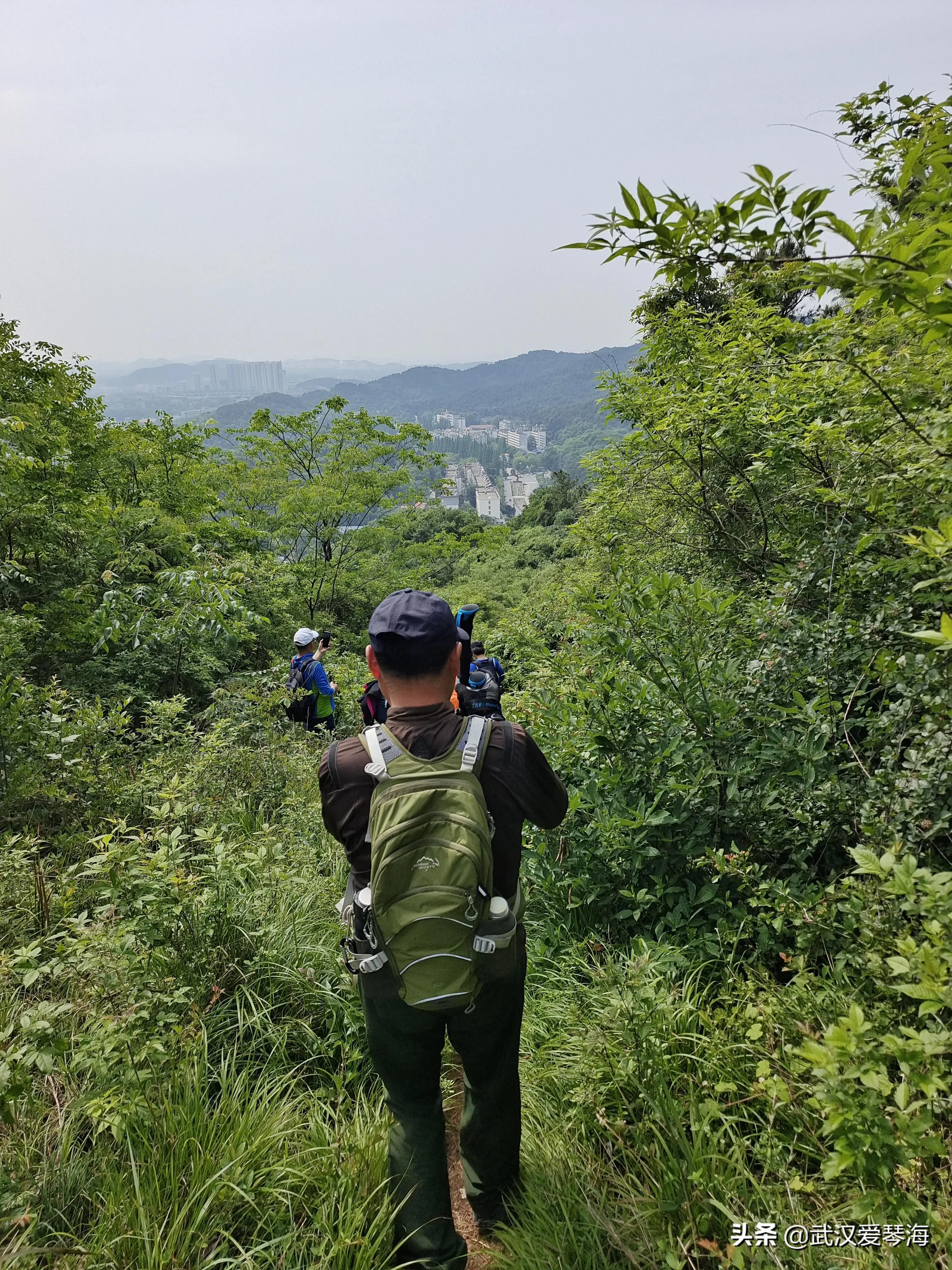 武汉青龙山爬山,武汉热门旅行线路青龙山穿八分山