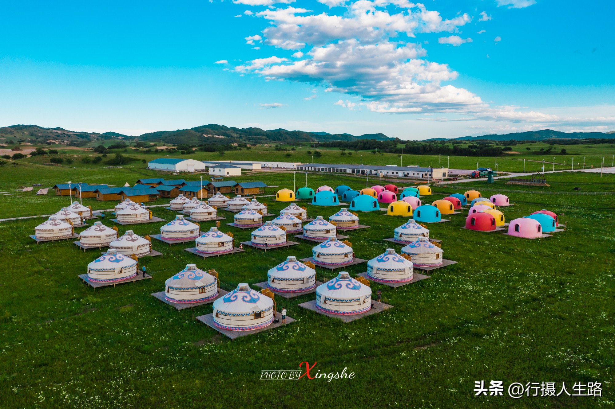 一路向北去黑龙江漠河,一路向北去寻找花海