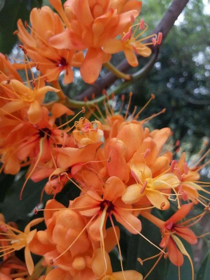 春天来了我们一起去看风景,春天来了我们去看哪里