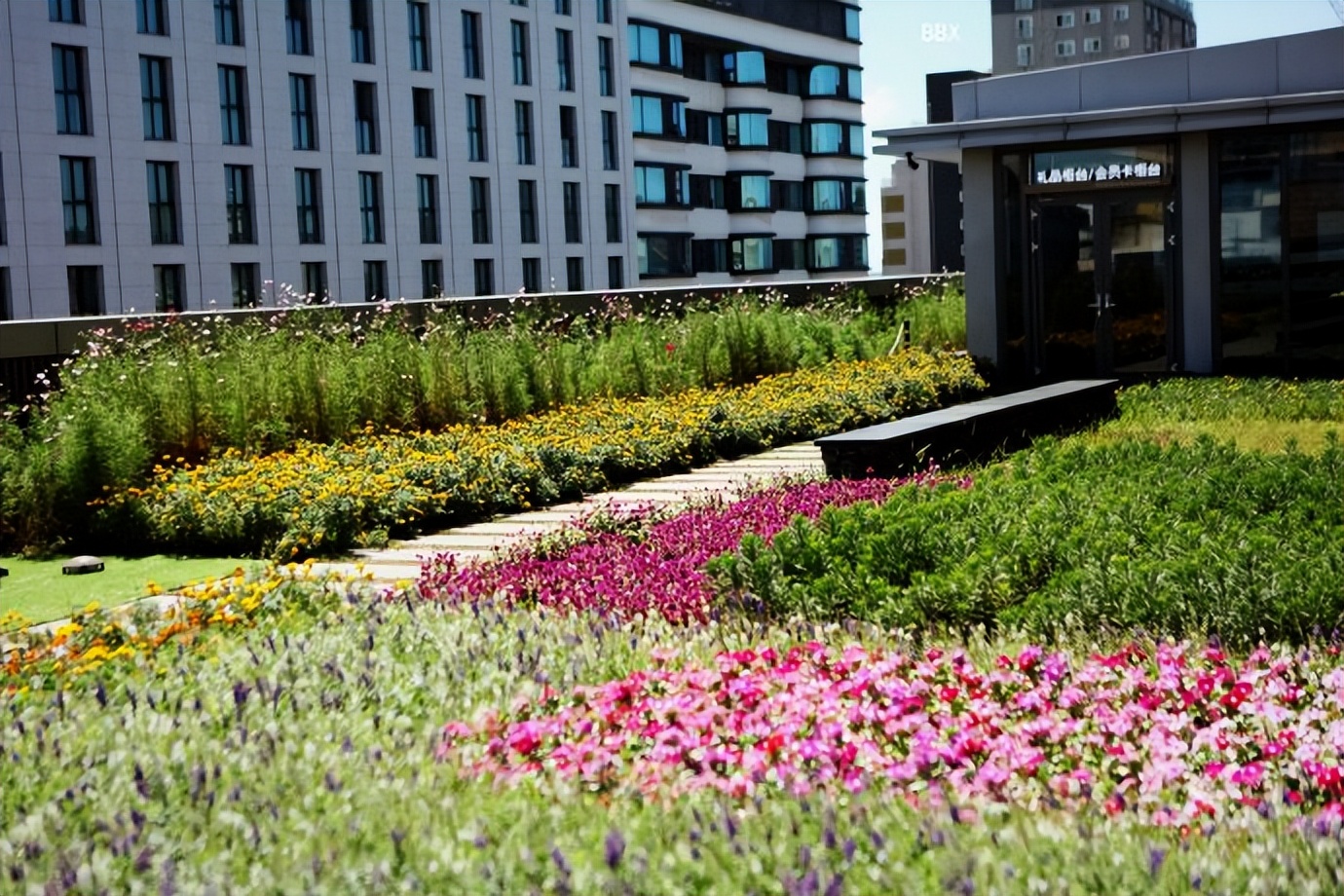 韩国逛奢侈品店,韩国逛潮流店