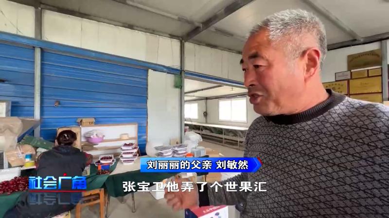 村里来了大老板？拿走50万樱桃不给钱！