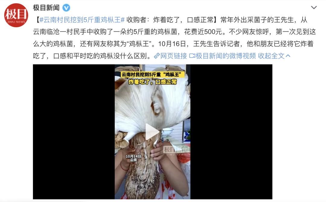 比肉还好吃的香菇就应该这样做,比肉还香香菇