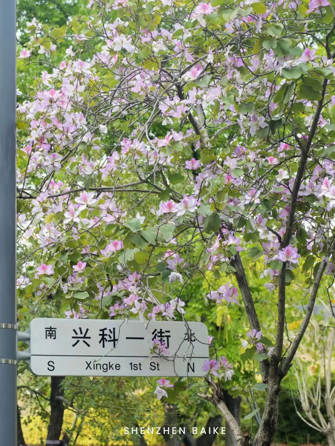 没想到这个设计公社里，还藏了个“小欧洲”和“魔法阵”——