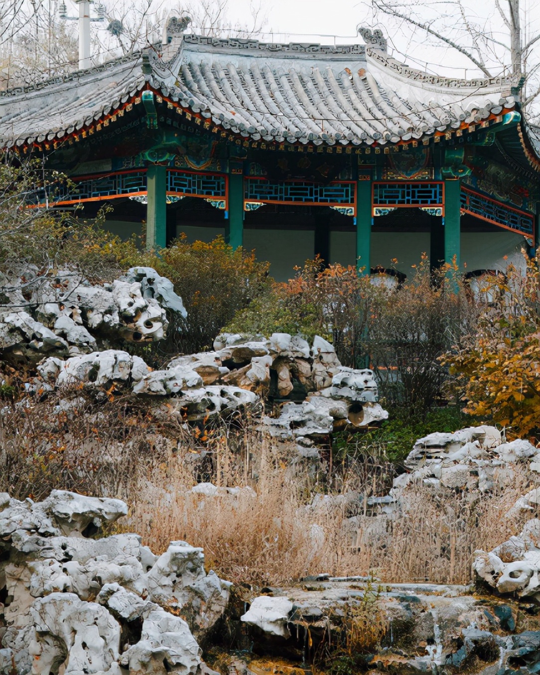 北京植物园的赏花的最好时节,西山秘境惊艳北京的植物