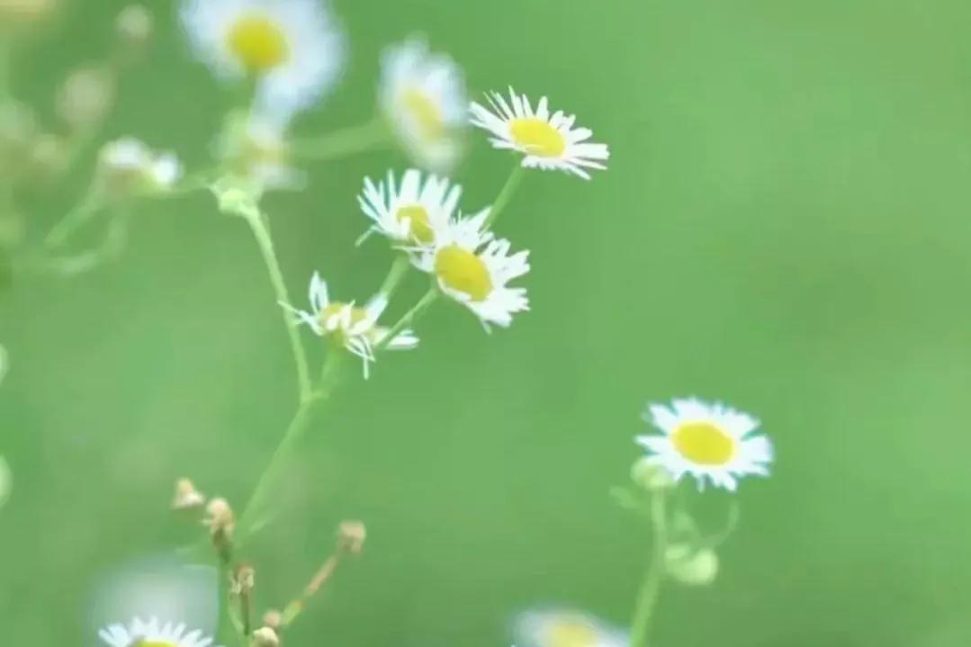 初次与客户见面第一印象特别重要,为什么第一印象十分重要