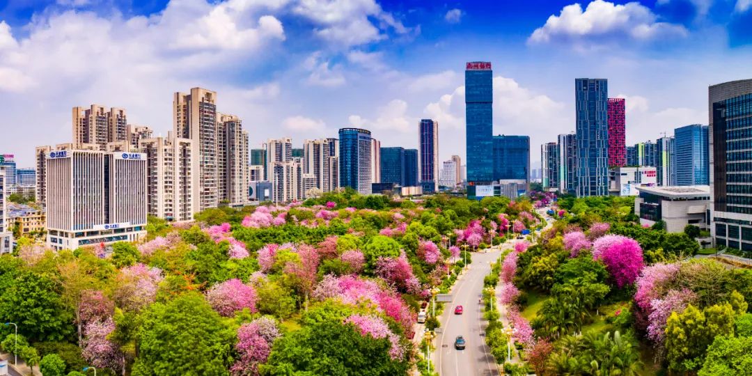 春天，我想到一座城，吃粉粉，看粉粉