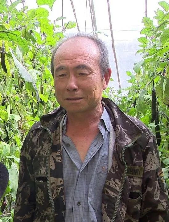 白银市现代高效循环农业示范园,白银市高效设施农业建设项目