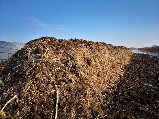 秸秆不让焚烧也不给解决方法,秸秆如何管理与注意事项