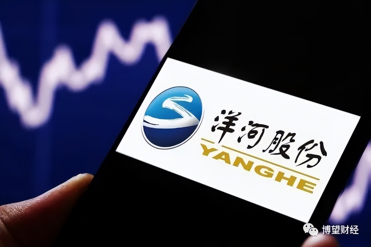 洋河股份2024年理财投入了多少钱,洋河股份理财