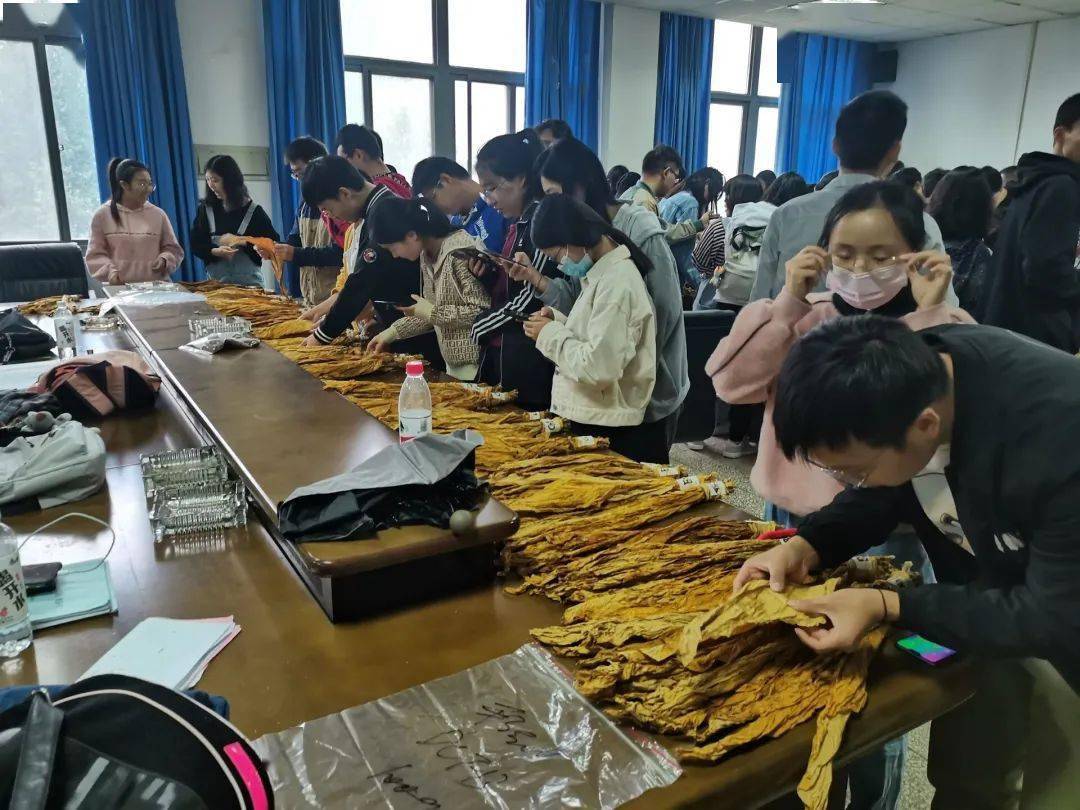 鍚炰簯鍚愰浘鎺ㄦ澂鎹㈢洀,鎺ㄦ澂鎹㈢洀鍚炰簯鍚愰浘