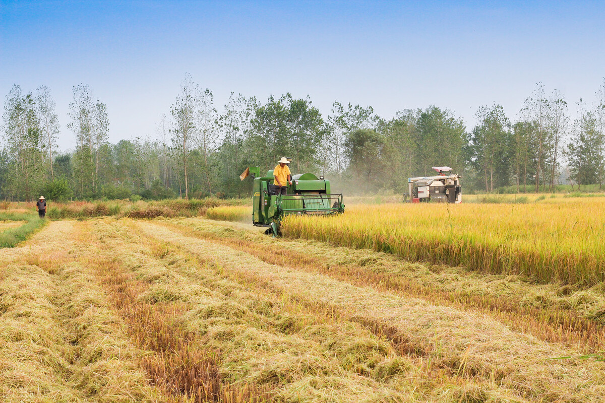 种植农产品上市公司,农作物种植上市公司