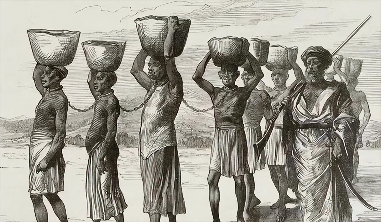 18世纪，美国海地革命的起源背景是怎样的？