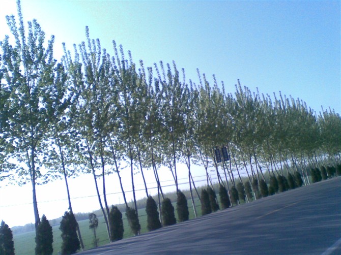 十年前单车小白入坑,骑行入坑从小白到十年的全过程