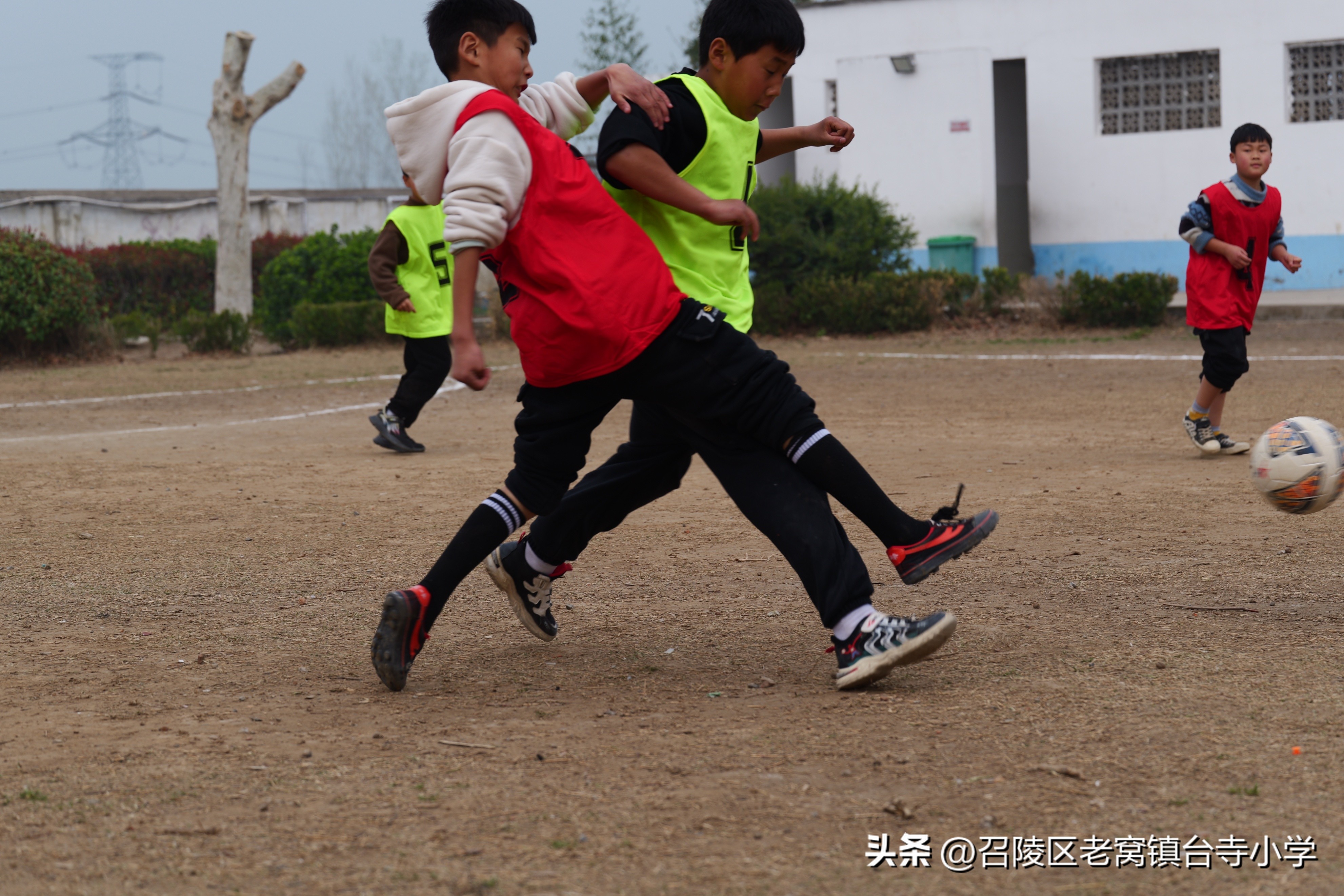 召陵区台寺小学,漯河市老窝镇台寺小学