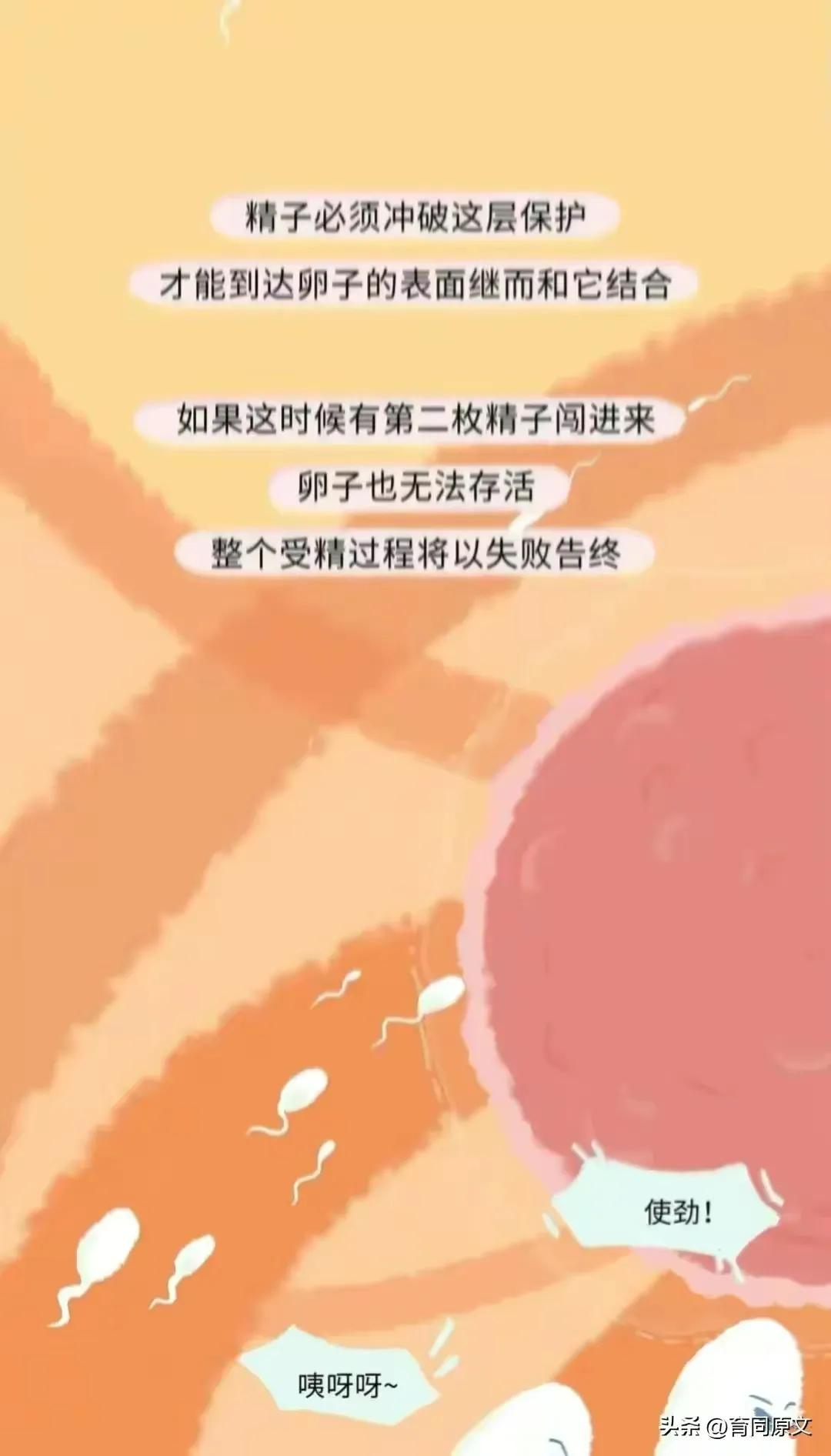 关于怀孕初期的漫画,漫画女性怀孕后都要经历些什么