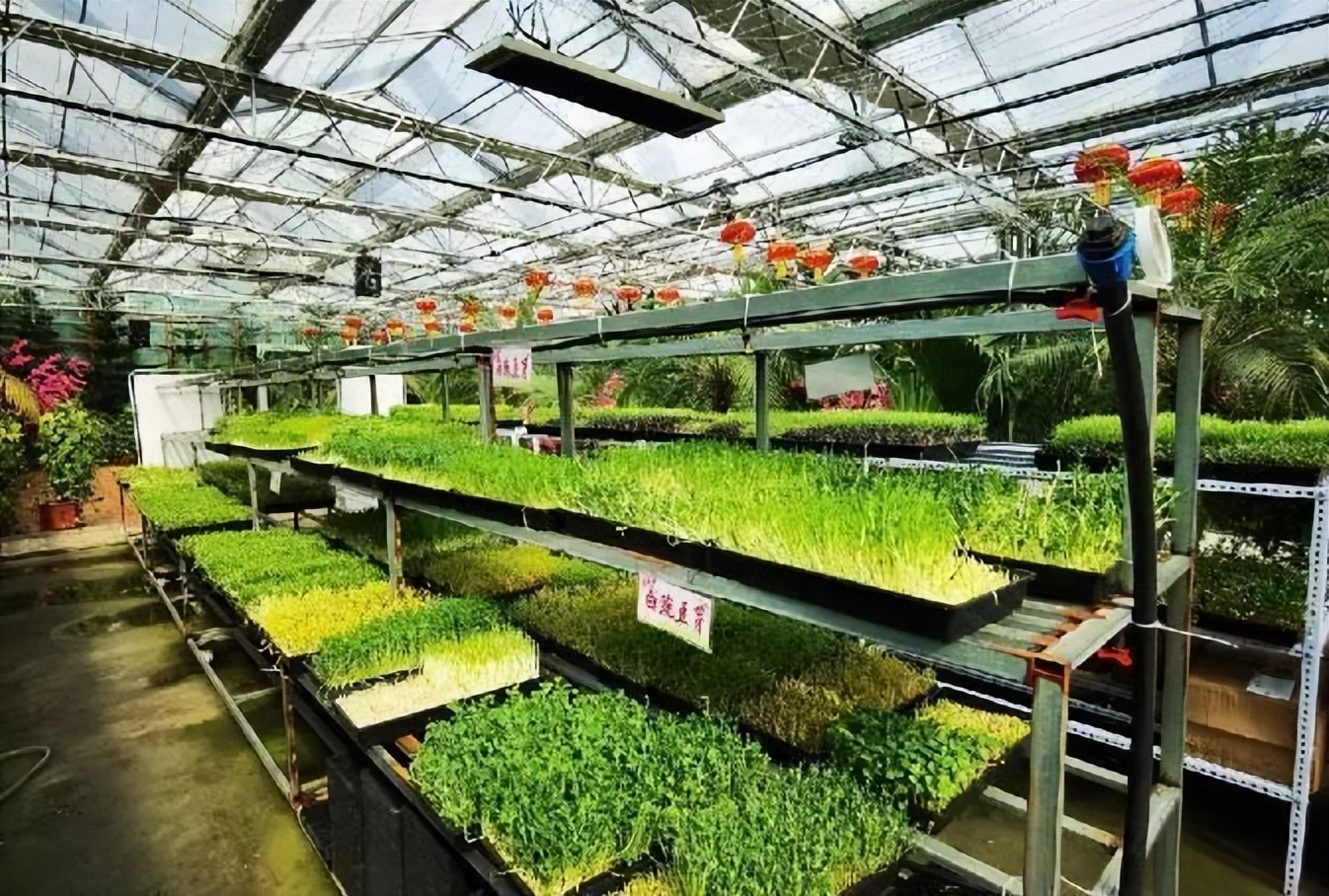 人这一辈子总得来一趟,人这一辈子一定要来日本