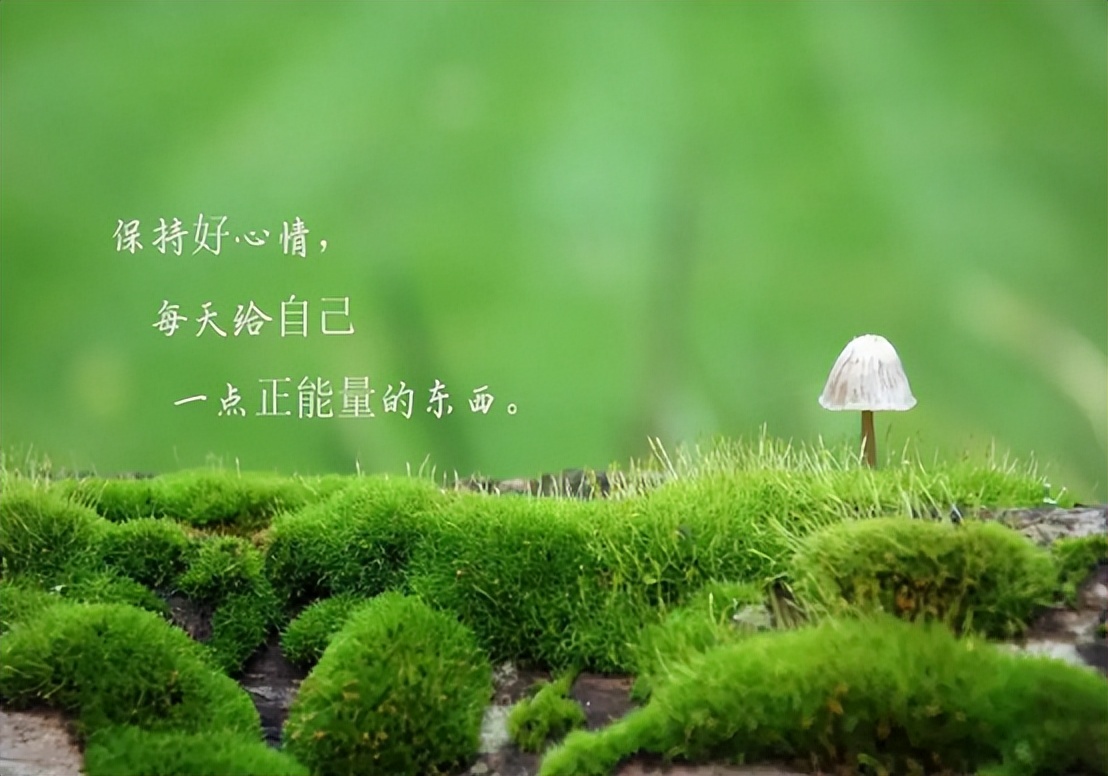 脂肪肝抗氧化药物有哪些,哪种中成药治疗脂肪肝最快最好