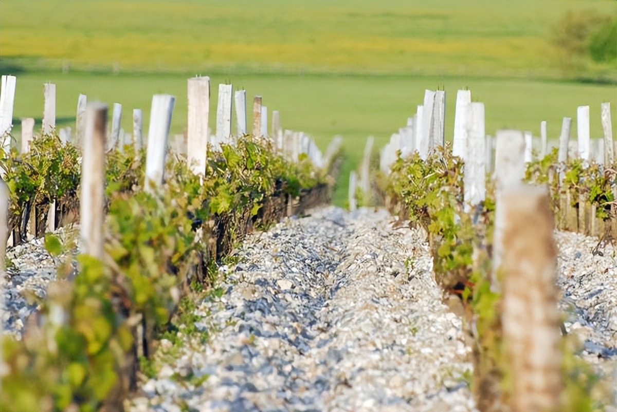 玛歌酒庄有什么酒,玛歌酒庄正牌干红葡萄酒2011