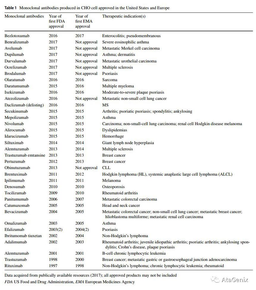 cho细胞是中国仓鼠卵巢细胞吗,中国仓鼠卵巢细胞属于什么细胞