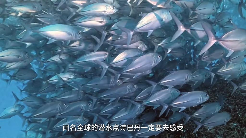 仙本那和马尔代夫哪个地方比较好,去仙本那度假比去马尔代夫省钱吗