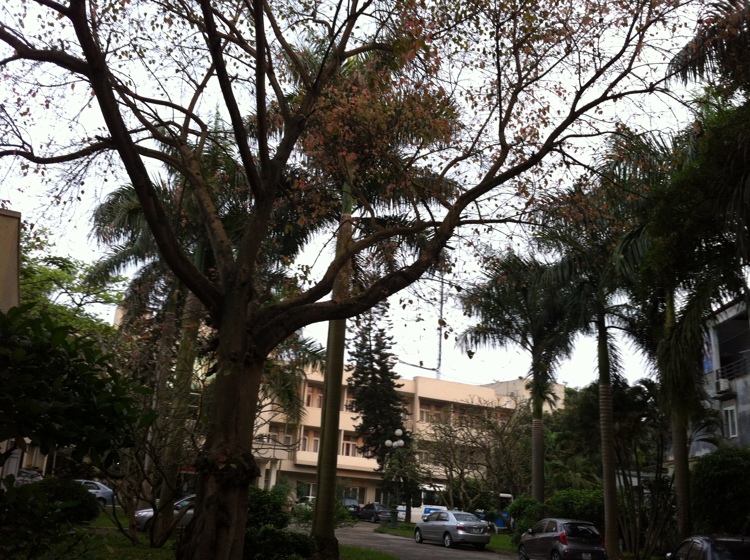 十年前的越南神曲,十年前的越南旅游