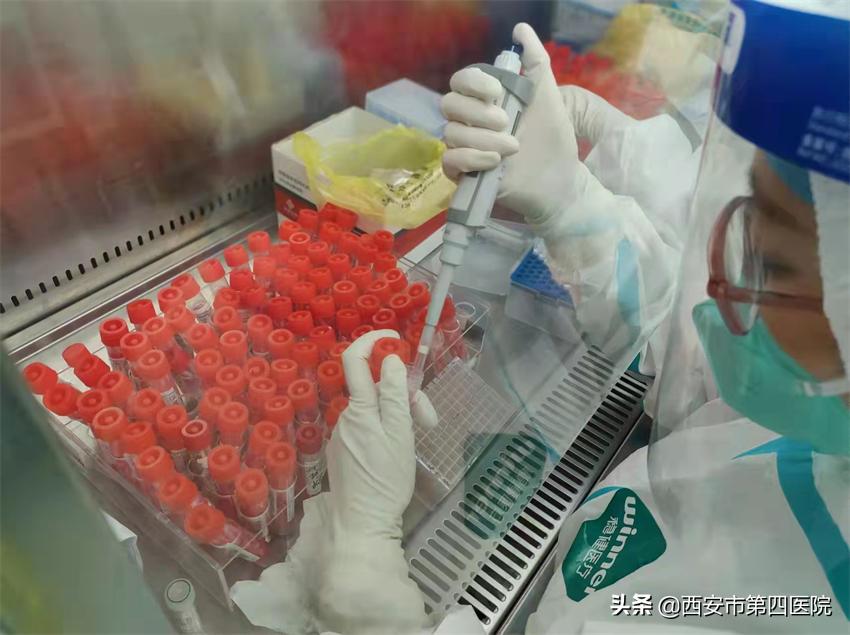 健康中国全民抗疫,秦岭四宝抗疫