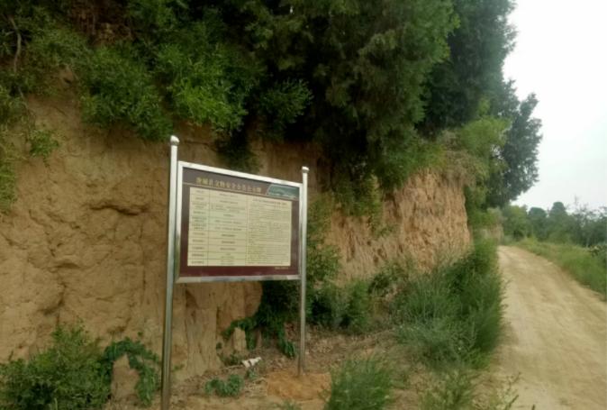 澄城老哥怎么样,澄城老哥由来