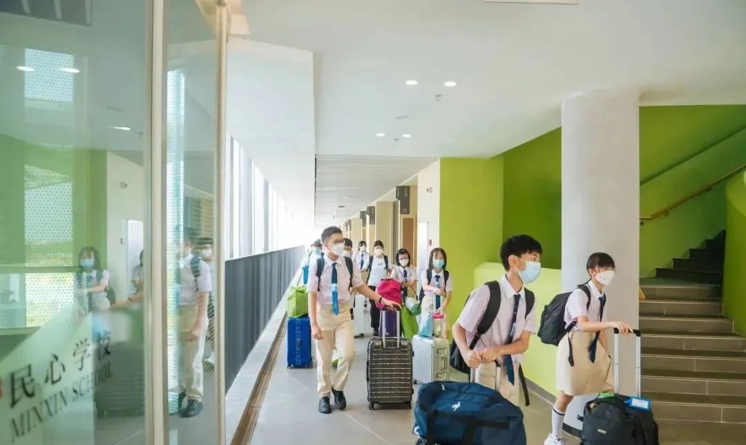 有人网课3年，有人背井离乡，20万港宝悲歌走向大结局