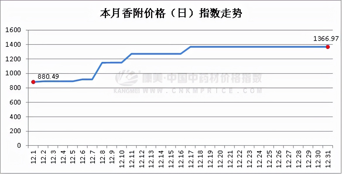 今日中药材涨跌十大品种,药材12月行情最新消息