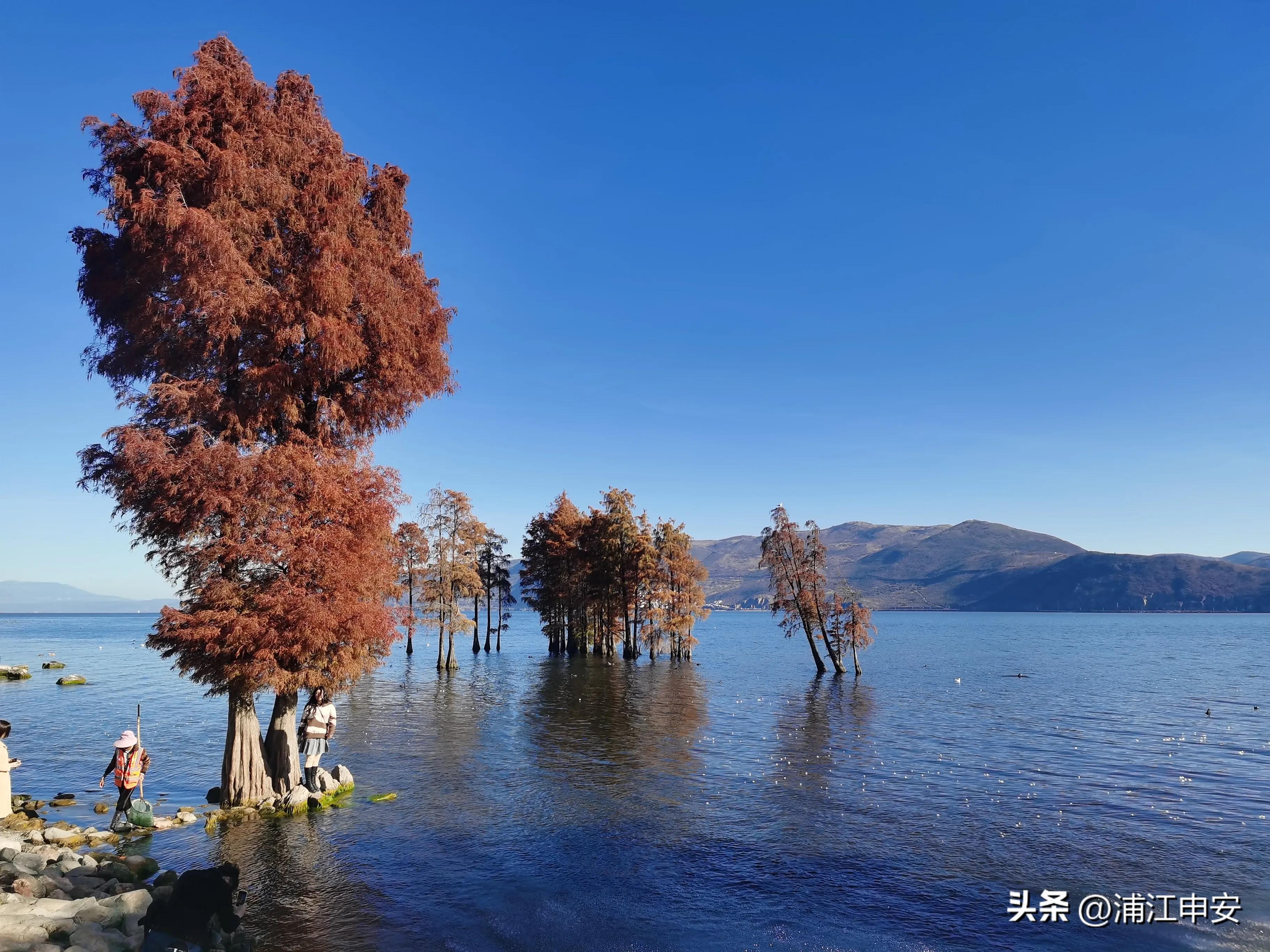 云南大理洱海龙龛码头看海景,大理洱海生态走廊精华