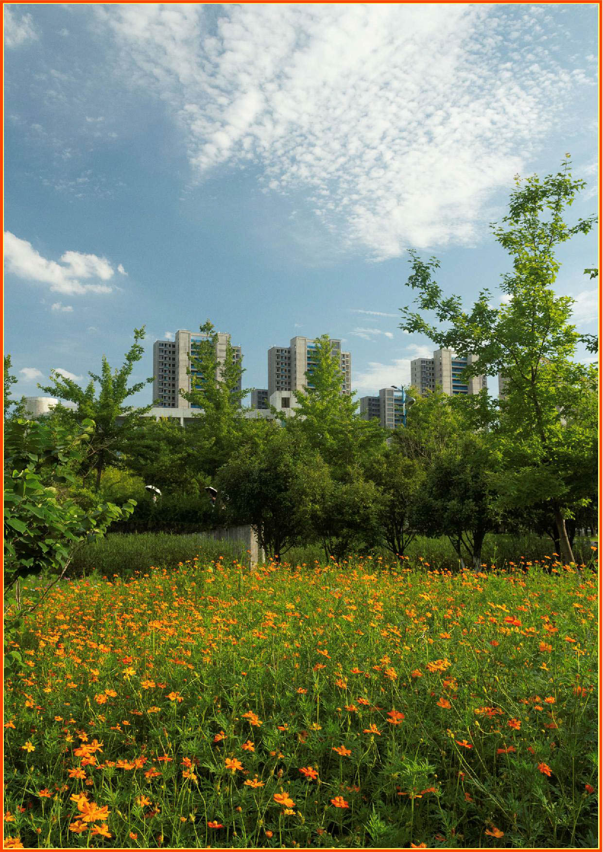 江西农业大学夜景拍摄,江西农业大学图片高清