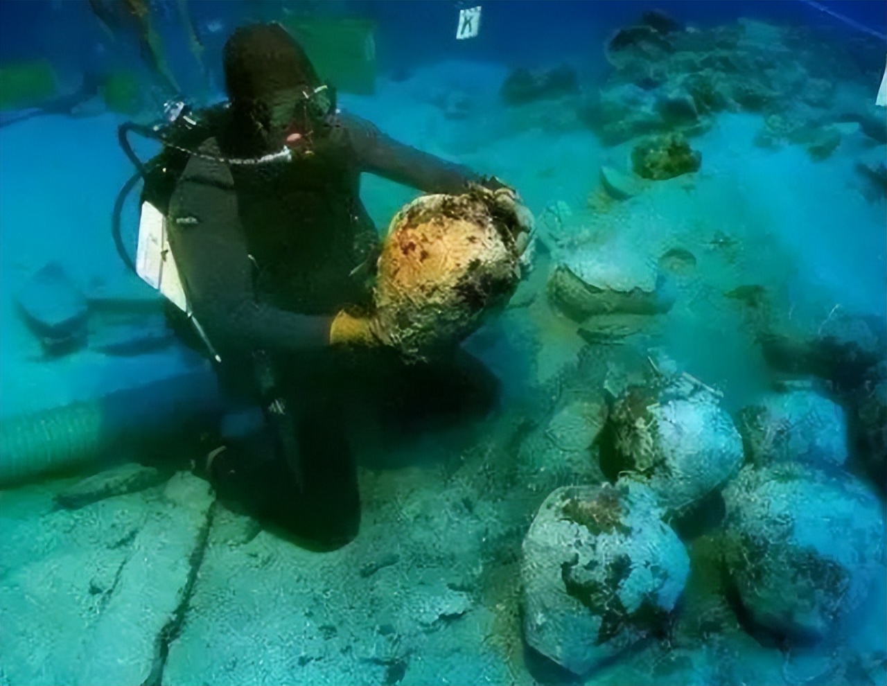 德国人在海底捞,德国人在南海打捞瓷器