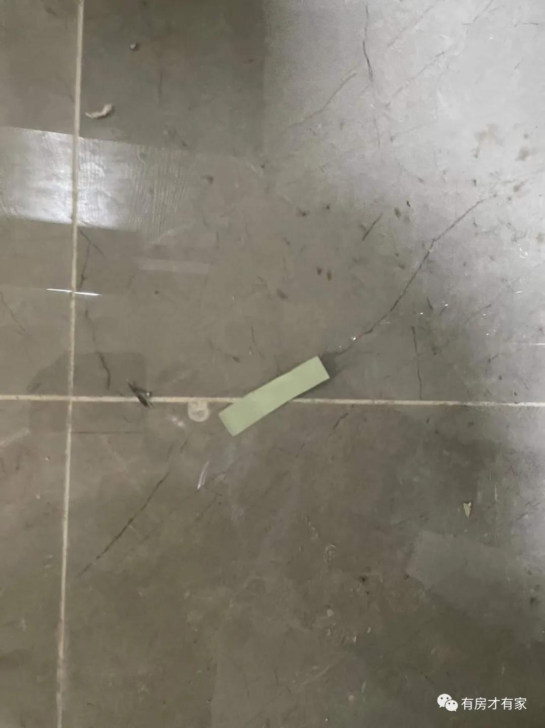 甯哥啛姗℃爲婢滄咕楠屾埧,楠屾埧娣卞害鍒嗘瀽鏂版埧