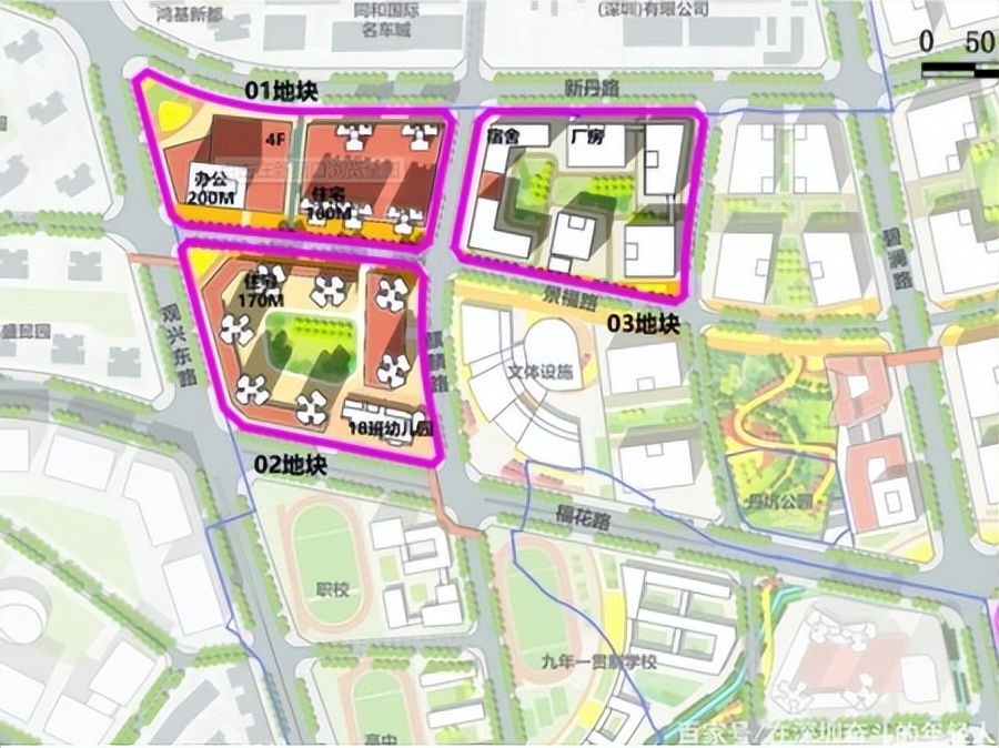 深圳南科大的学校,深圳南科大学校