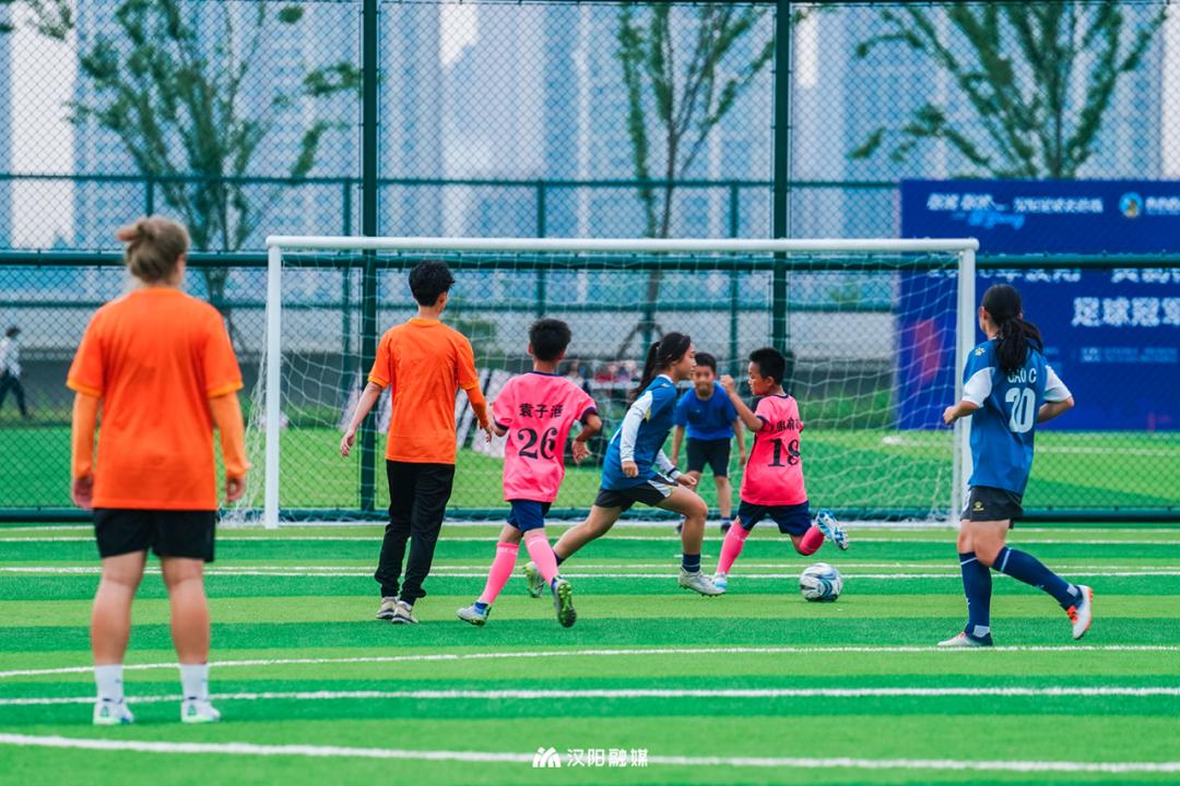 爱的专属告白,播放爱的告白