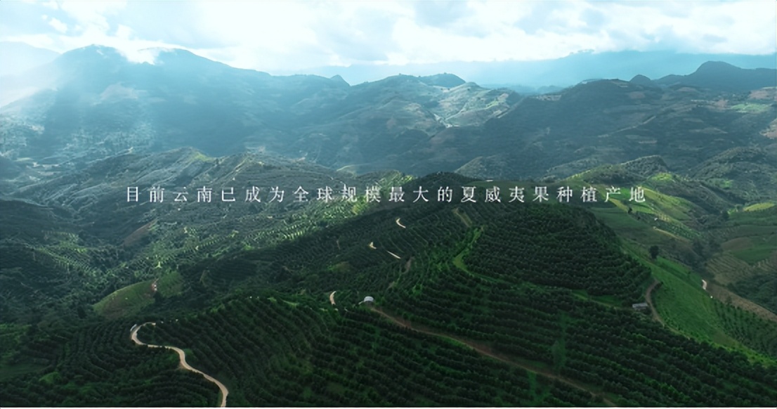 坚果零食行业，需要怎样的三只松鼠？